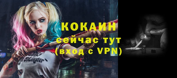 дурь Осташков