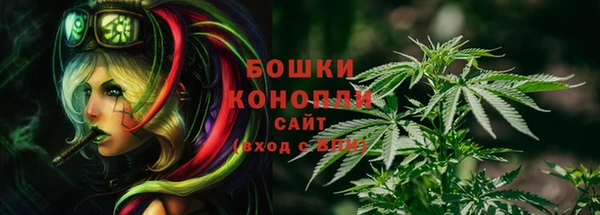 дурь Осташков