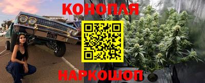 прущая мука Аргун
