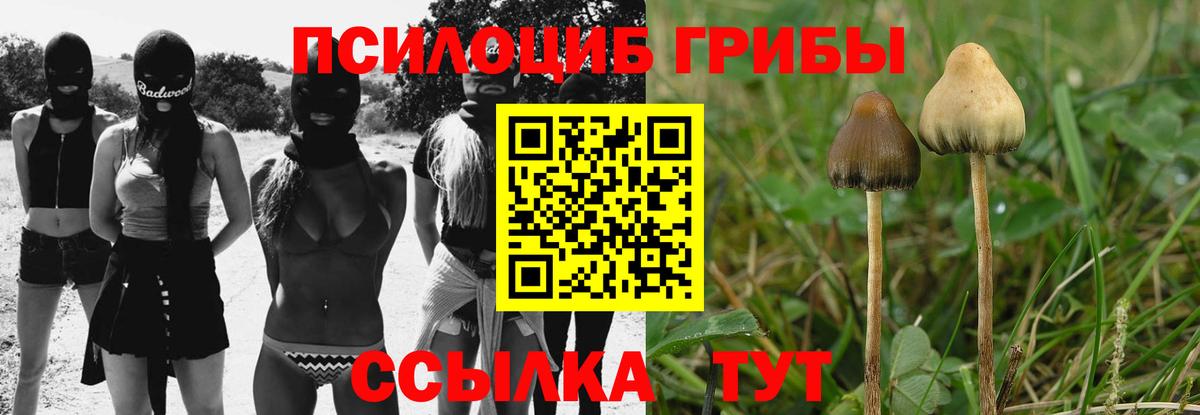 Псилоцибиновые грибы мицелий  Балабаново 