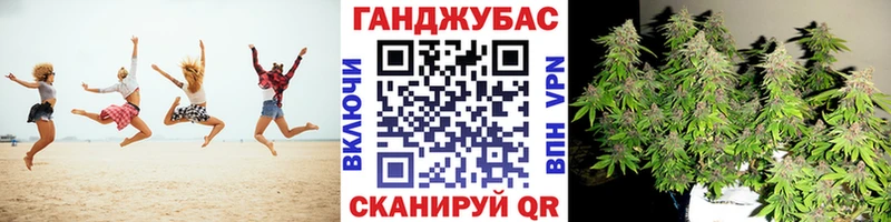 Марихуана сатива Балабаново